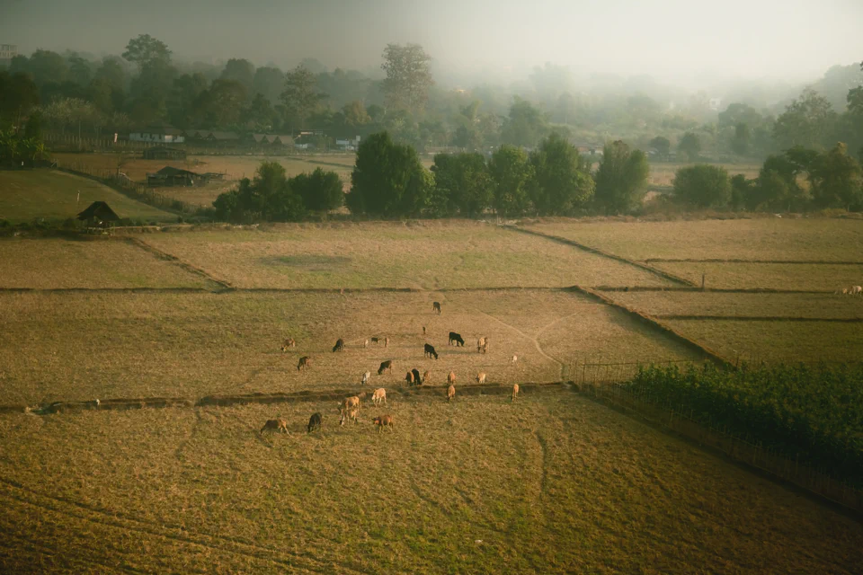 萬榮（Vangvieng）
