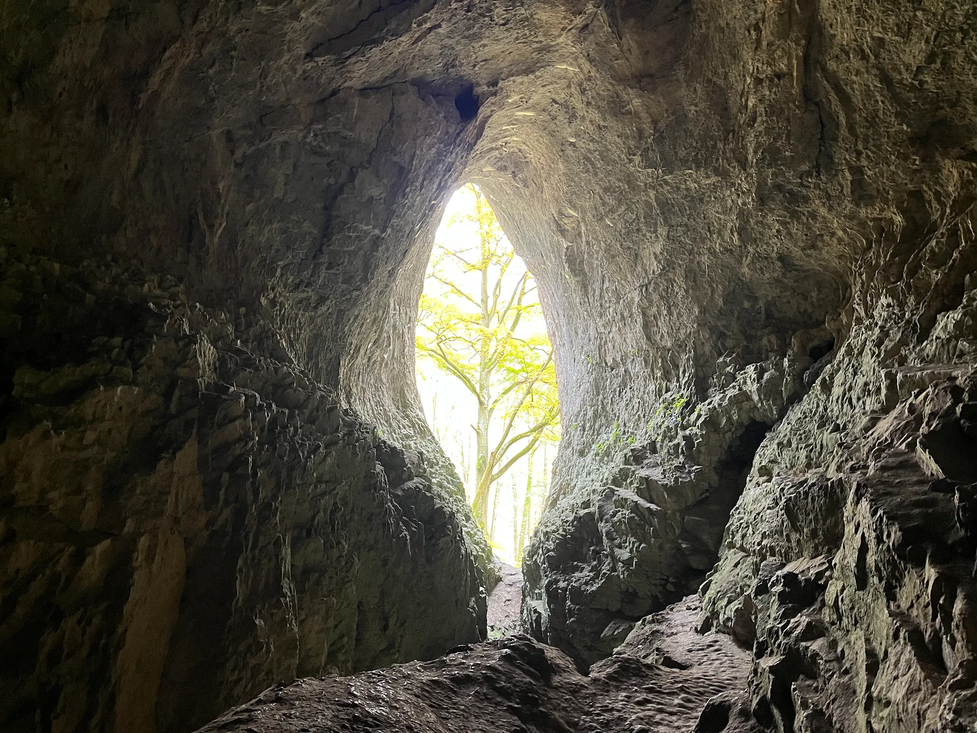布爾諾旅行攻略&私房景點推薦