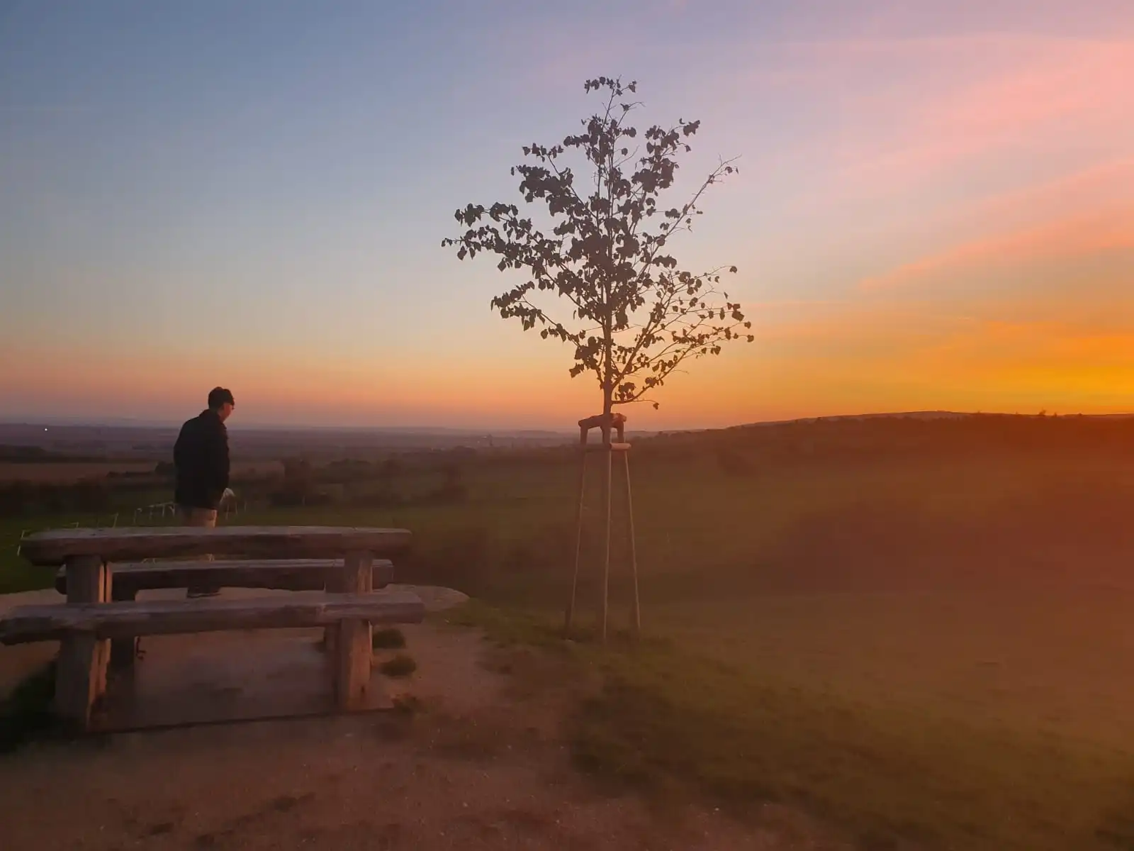 EP 12.《自然式教室：真實交換學生生活紀錄》